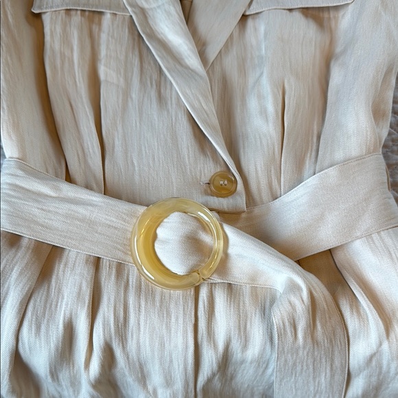 Zara Cream Blazer Collar Jumpsuit with Belt - Picture 5 of 11